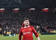 开云APP-利物浦力克柏林赫塔，获得胜利的简单介绍