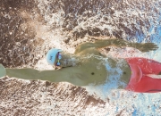 开云体育APP下载-非洲雄狮的怒吼，塞内加尔终结伊朗神话，加克波西决生死战封神