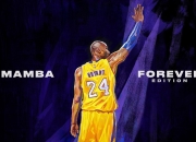 开云体育APP下载-当山西汾酒浇不灭黄蜂毒刺，拉梅洛·鲍尔在东方古城的硬仗加冕礼