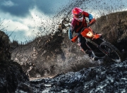 开云APP-字母哥展翅遮天蔽日，老鹰主场惨遭雄鹿国王碾压