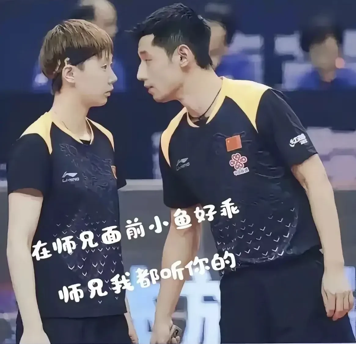 波兰乒乓球队翻盘比利时乒乓球队，张继科送出助攻的简单介绍