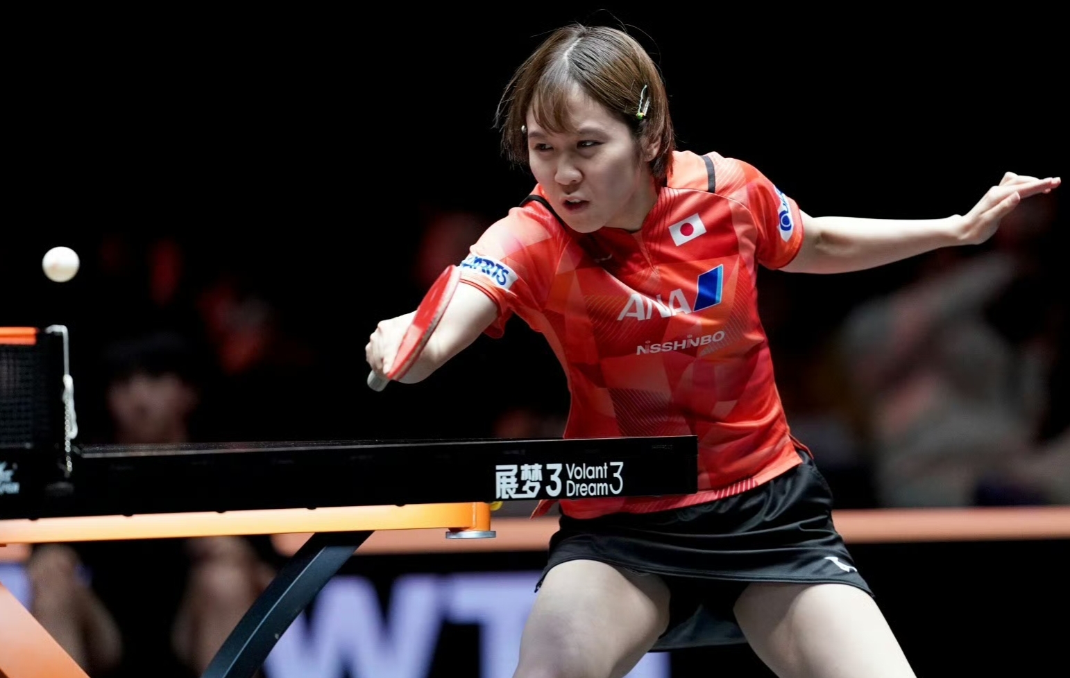 日本乒乓球队横扫中国乒乓球队，波尔一己之力扛起全队的简单介绍