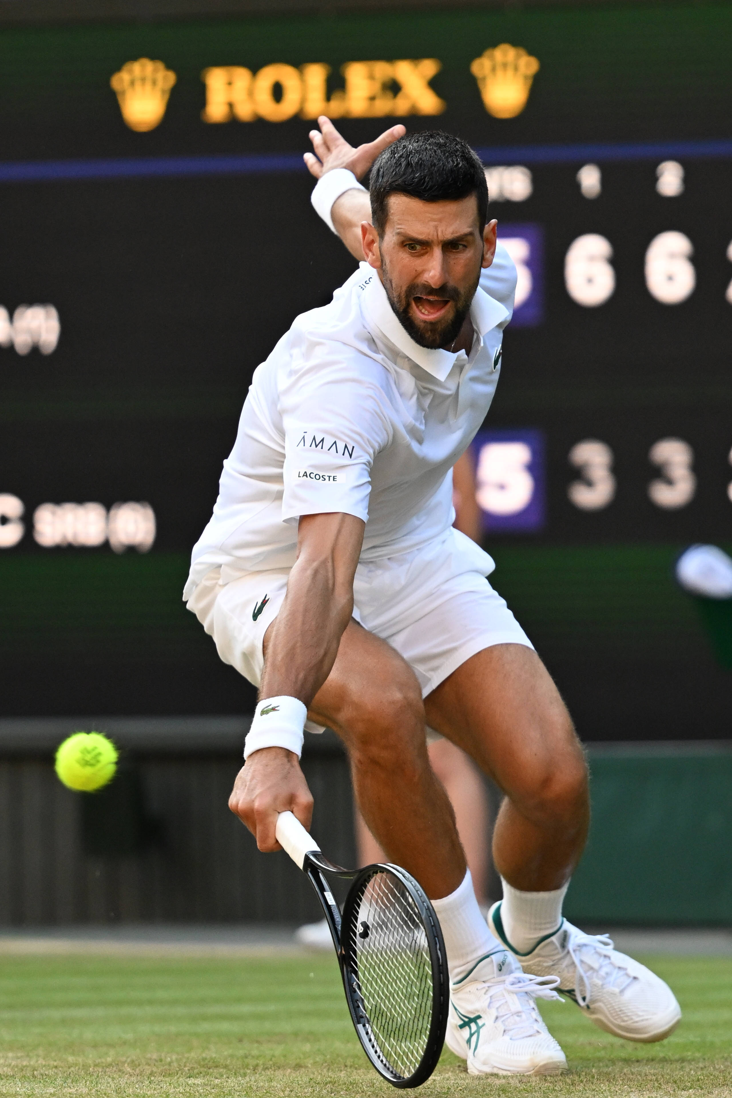 ATP总决赛逆转温网，辛纳统治全场的简单介绍